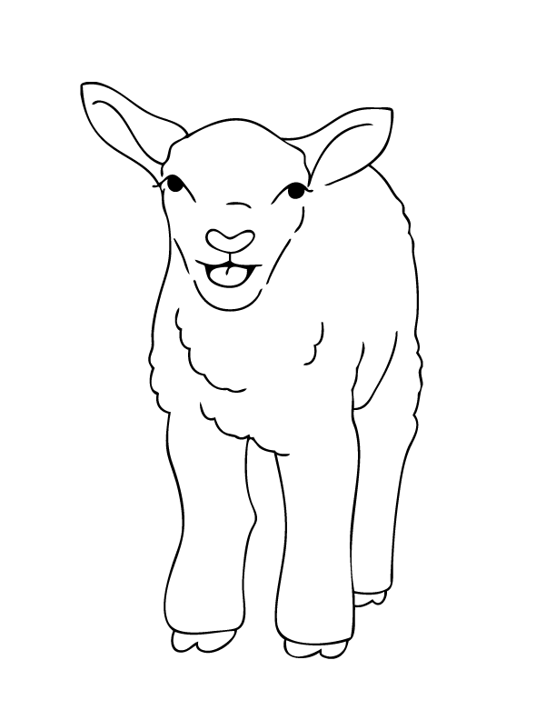 Spring Lamb Coloring Page