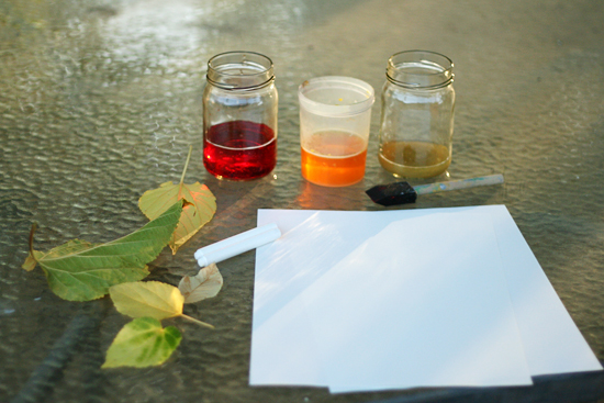 Supplies for Crayon Resist Autumn Leaf Rubbings 