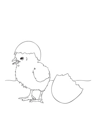 Baby Easter Chick Coloring Page