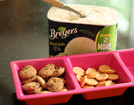 mini-cookie-ice-cream-ingredients