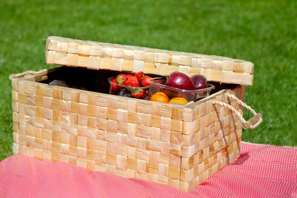picnic basket in grass