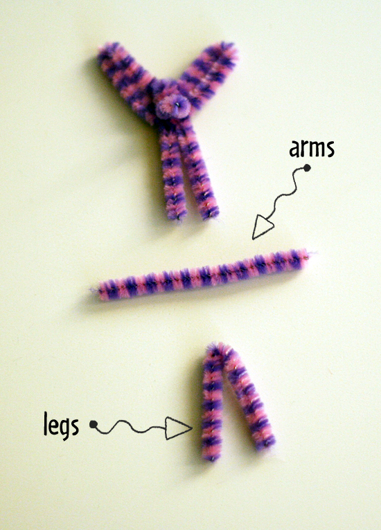 Pipe cleaner bunny arms and legs