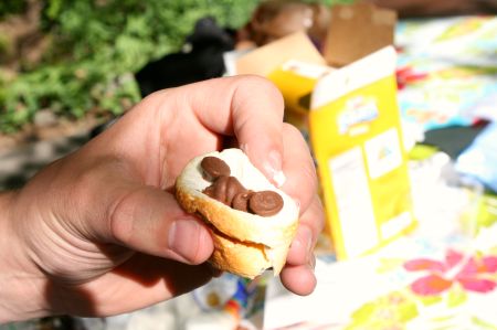 Chocolate S'mores