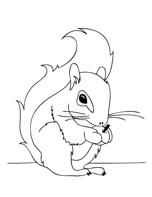 Squirrel Coloring Page