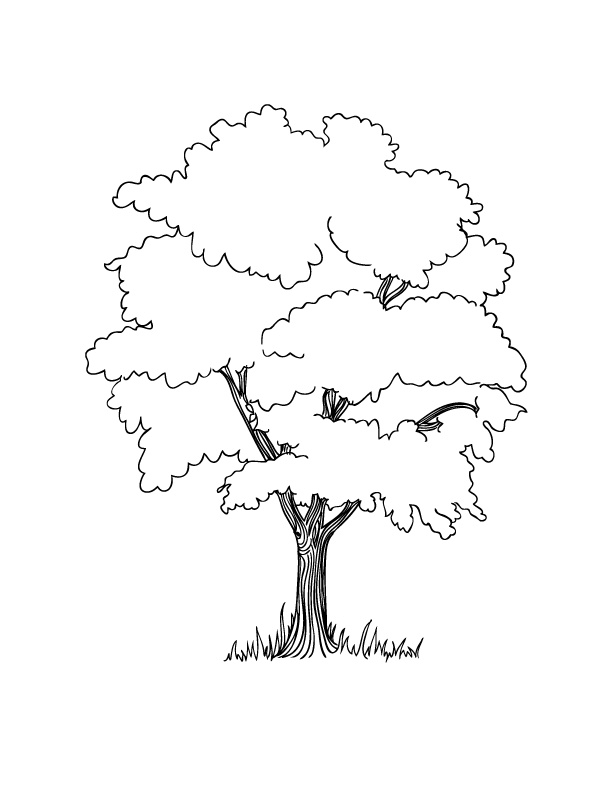 Growing Tree Coloring Page