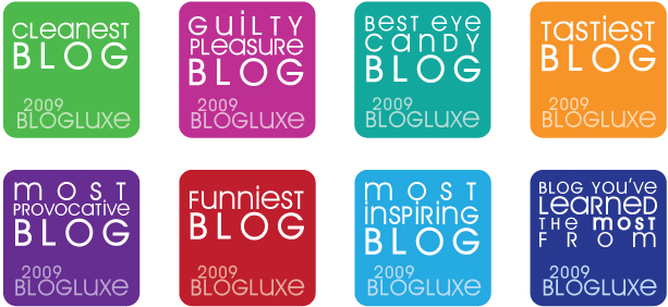 BlogLuxe Awards for Blogher Party