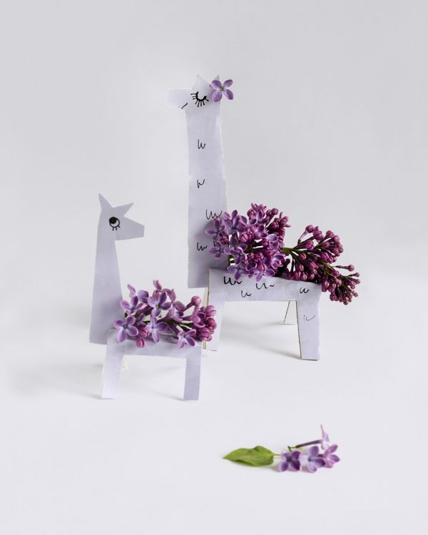 Lilac Llamas