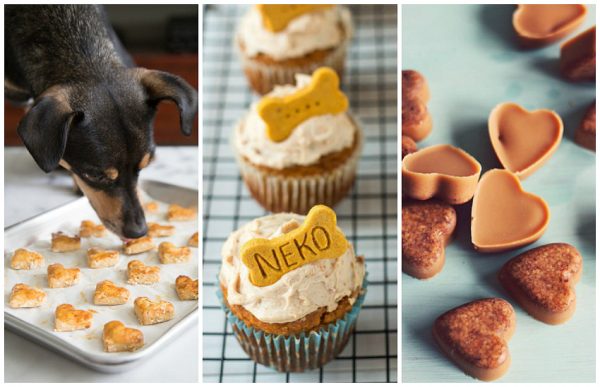 Homemade Dog Treats: Recipes, Tips, & Tricks for Delicious DIY Treats