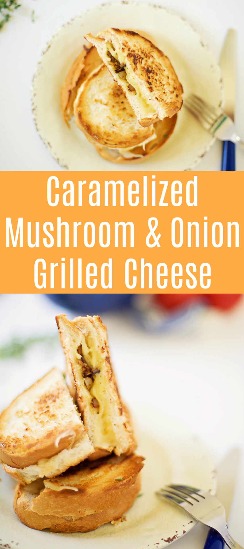 Caramelized Mushroom & Onion Grilled Cheese