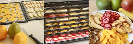 Drying Raw Fruit