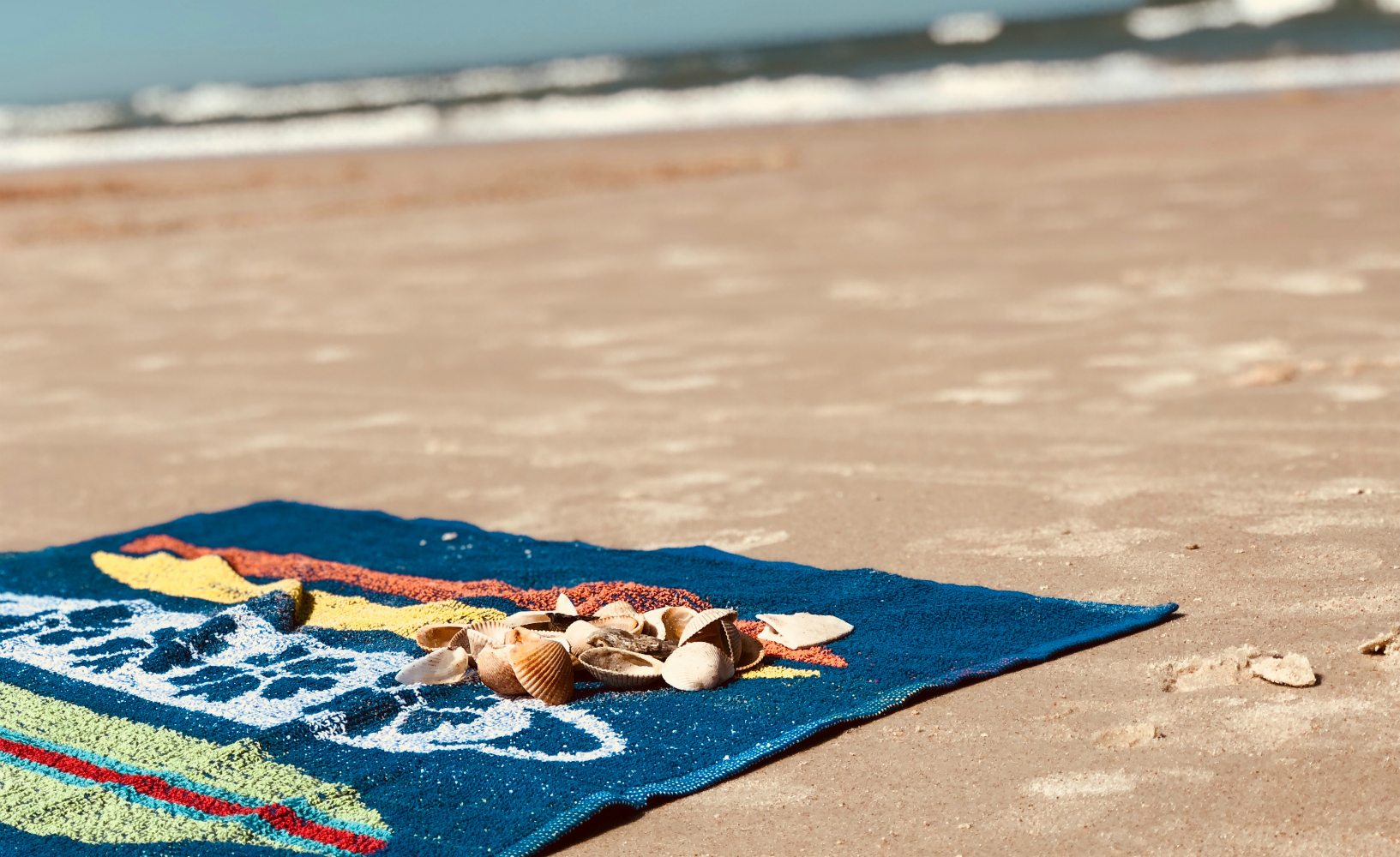 Family Beach Day