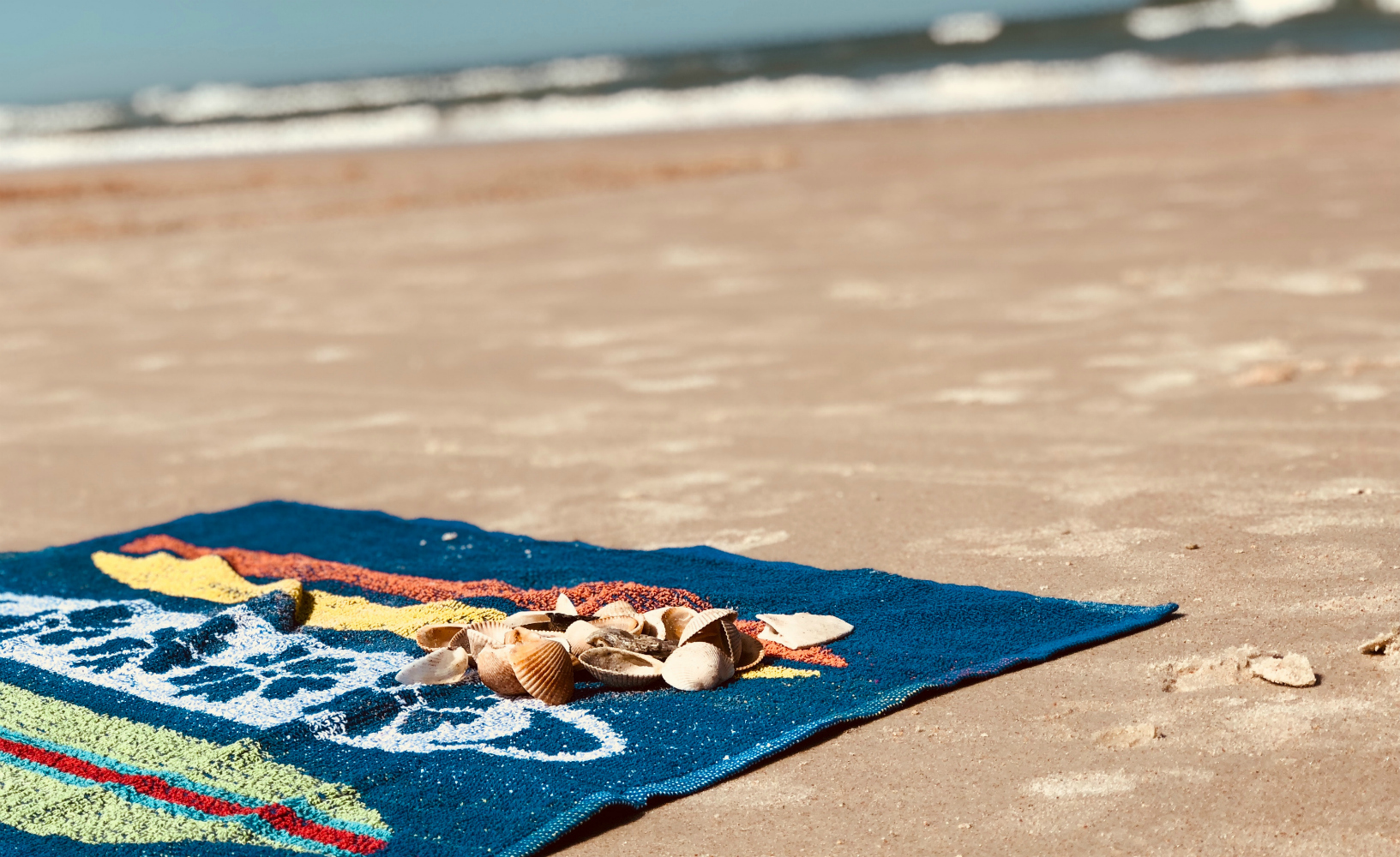 Family Beach Day