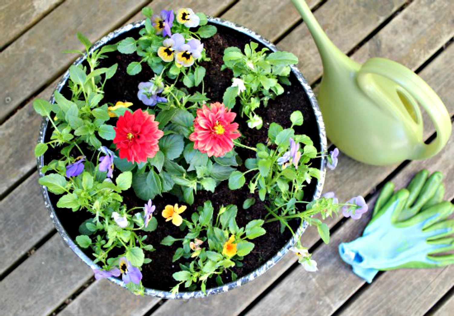 Gardening Activities with Kids