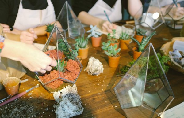 Make Your Own Terrarium Display 