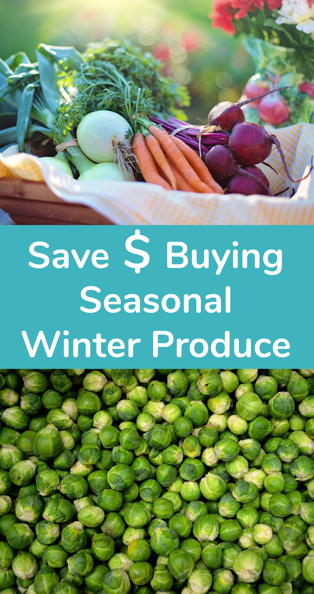 Saving Money Buying Winter Seasonal Produce