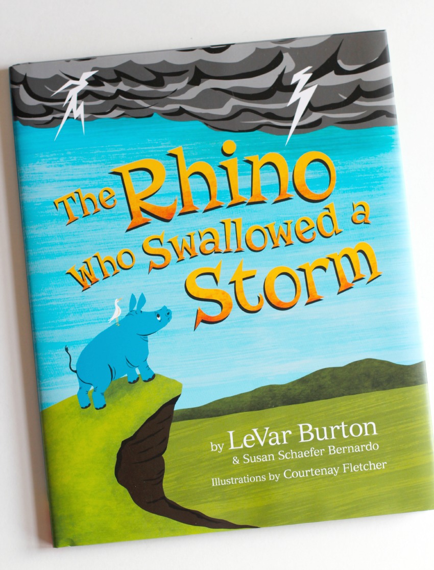 Book Review The Rhino Who Swallowed A Storm Make And Takes