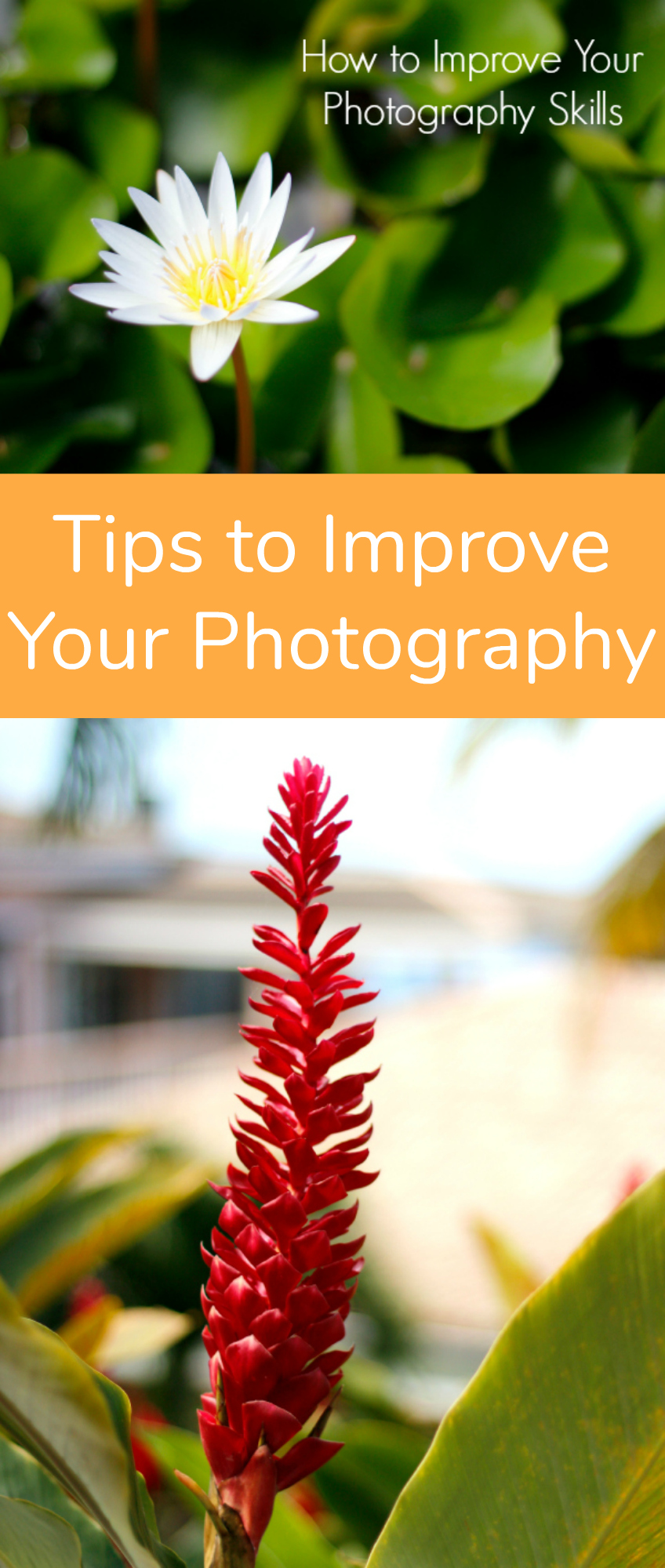 Tips to Improve Your Photography