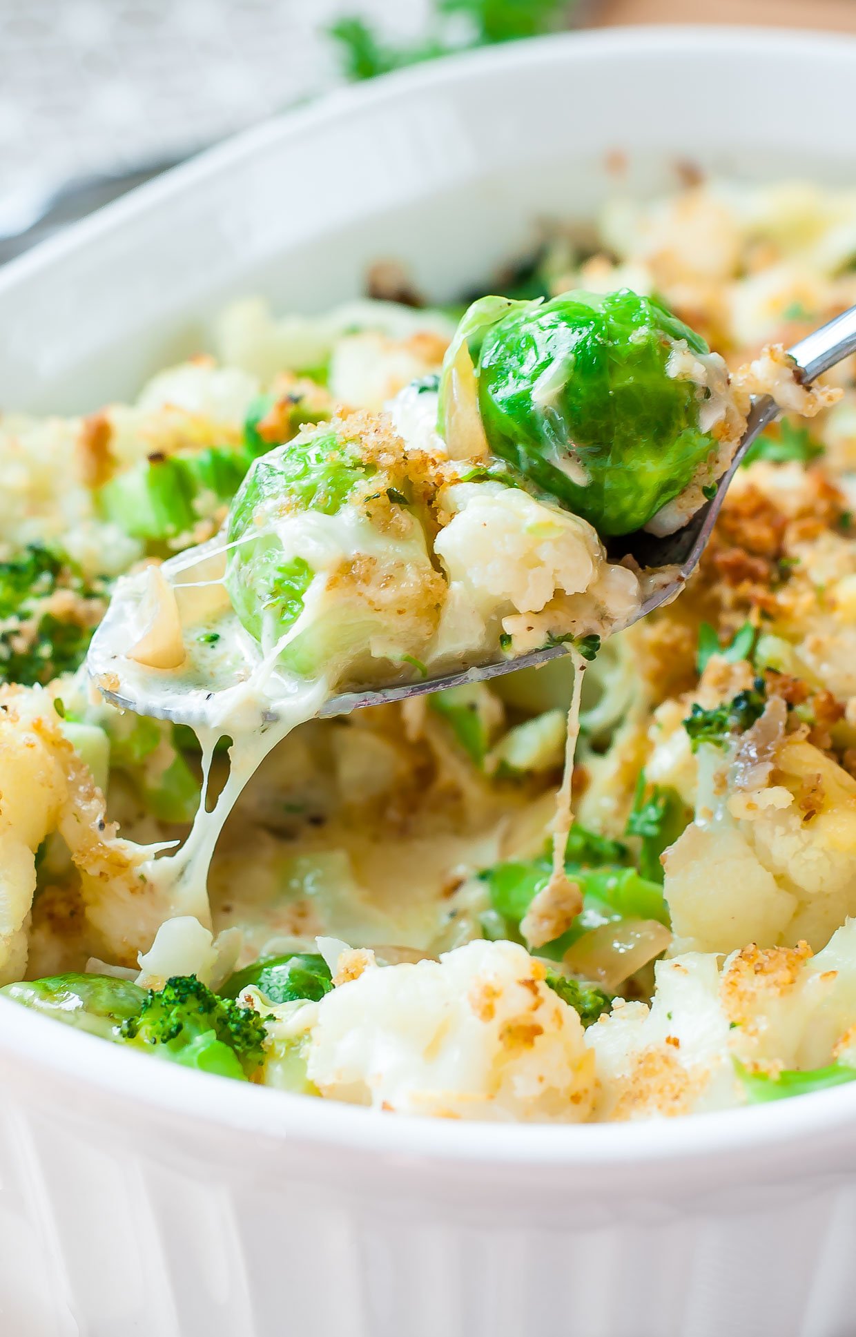 Featured image of post Fed And Fit Chicken Enchilada Casserole In prepared dish arrange 4 tortillas in single layer