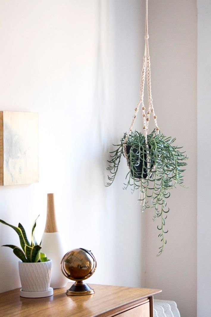 crochet plant hanger