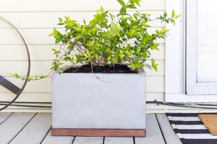 https://www.makeandtakes.com/wp-content/uploads/diy-concrete-and-wood-planter.jpg