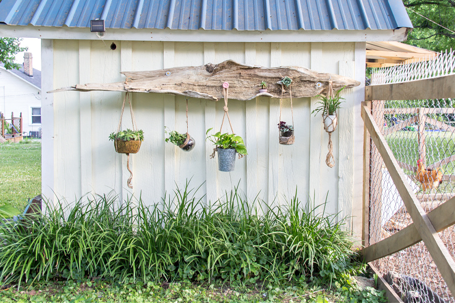 diy driftwood hanging planter