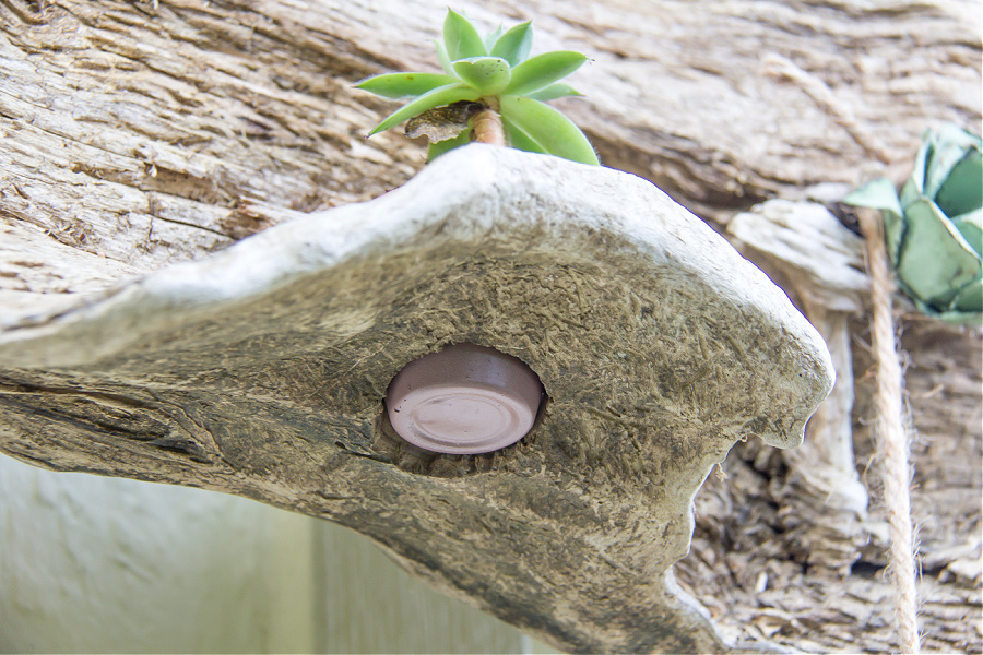 make a hole in driftwood to sit planters inside