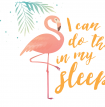 I Can Do This In My Sleep Flamingo