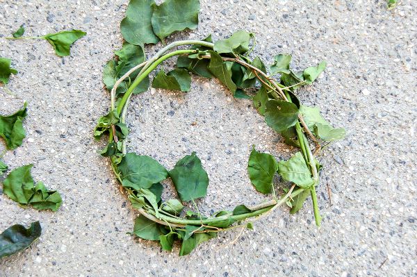 how to make a flower crown out of vines