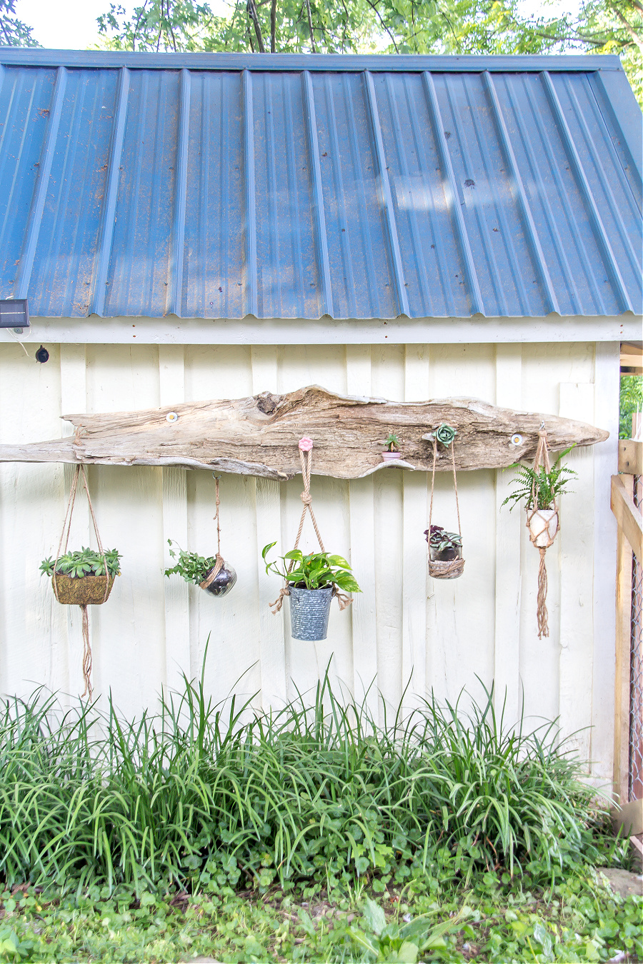 Handmade driftwood hanging planter on the side of a garden shed