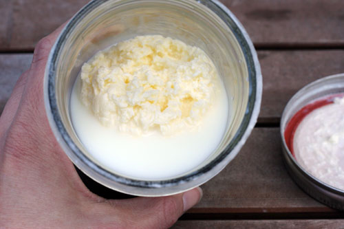 Step 2: Bright Yellow Solid And A Pale White Liquid | How To Make Butter In A Jar | Easy Project For Kids Step 2: Bright Yellow Solid And A Pale White Liquid | How To Make Butter In A Jar | Easy Project For Kids