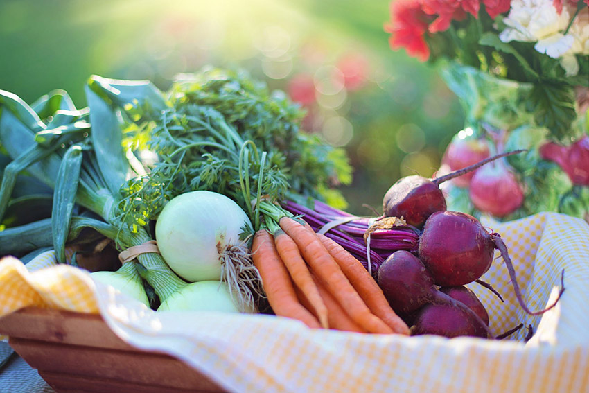 Buying and Cooking with Seasonal Winter Vegetables